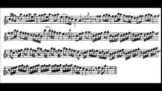 Tomaso Albinoni - Oboe Concerto Op. 7, No. 12