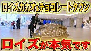 【北海道】当別町で白い恋人パークのライバル施設を発見しました【ROYCE】