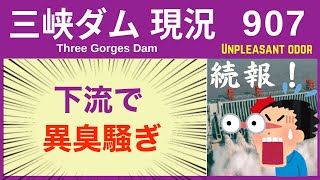 ● 三峡ダム ● ダム下流で異臭騒ぎ ● 続報！化学工場から汚染水が 02-13  最新情報 洪水 直播ライブ  Three Gorges Dam 今すぐ決壊しないが ・・・三峡大坝