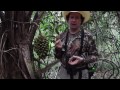 Barba Azul Nature Reserve - Motacu Palm Forests