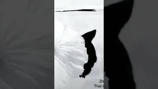 Black and White Betta Fish _ 1 Million  Views _ Thazz Vlog