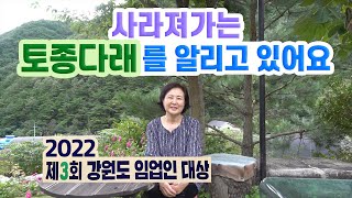 토종 다래 성장 과정 1편 | 전정, 유인작업