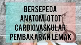 PENTING: Anatomi dan cara kerja Otot,  Cardio, Fat Burning Dan Membangun Otot kaki dengan bersepeda