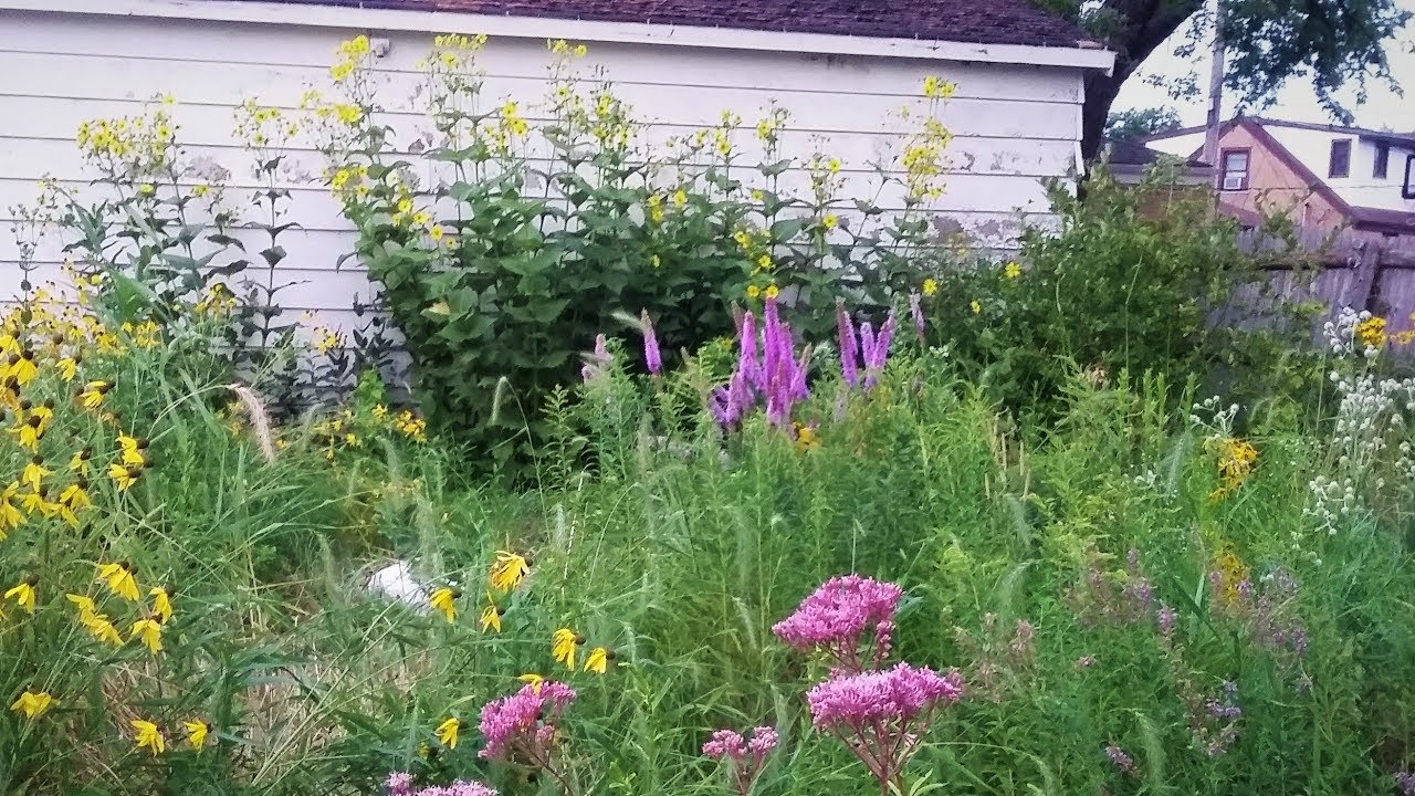 Native Prairie Backyard Tour Youtube
