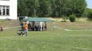 2.Kirican DiscDog Freestyle 2008