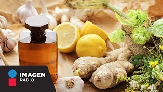 Antibióticos naturales y jugos para aumentar las defensas | Bien y Saludable