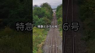 十勝清水駅を発車した特急とかち６号 #shorts #jr北海道 #鉄道 #キハ261系 #北海道