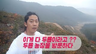 바람의농부 36부 ( 엄청난 규모의 두릅 농장을 방문하다 )