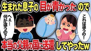 【2ch修羅場スレ】生まれた息子の目が青かったので本当の父親の国に送還してやったw