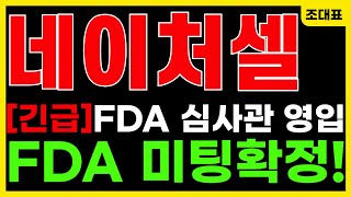 [#네이처셀] FDA 심사관 출신 \