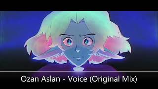 Ozan Aslan - Voice (Original Mix)