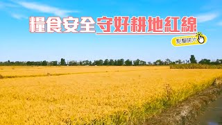 中國糧食安全?  守好耕地「紅線」| The China Current 粵語