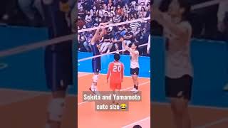 Michieletto vs Sekita and Yamamoto😂 #ryujinnippon #japanvolleyball #石川祐希 #vnl2022 #yukiishikawa