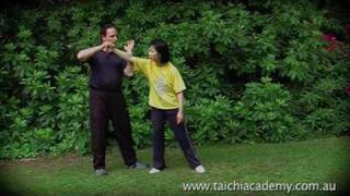 Chen Style Xinyi Hunyuan Tai Chi Martial Art Applications - DVD Introduction