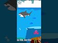 baby shark ryhme short kidssongs nursery ryhme play and learn