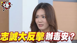 《多情大爆爆》多情城市 EP453  志誠大反擊   辦毒安？