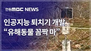 인공지능 퇴치기 개발..