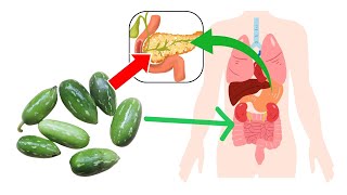 What Happens To Your Body When You Eat Ivy Gourd Every Day