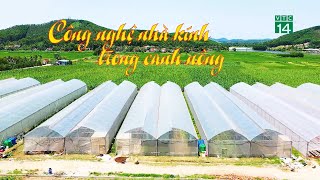 Công nghệ nhà kính trong Canh nông| VTC14