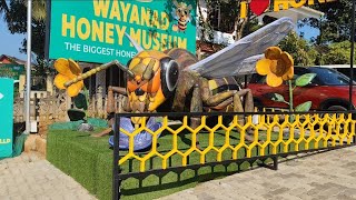 വയനാട് HONEY museum കാഴ്ചകൾ . WAYANAD HONEY MUSEUM views.