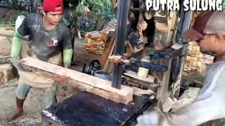 SAWMILL,, PEMOTONGAN KAYU ARE SUPER JUMBO