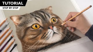 Drawing Lulu the Cat from Kittisaurus for BEGINNERS | Fur Drawing Technique