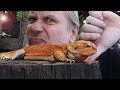 BEARDED DRAGONS MAKE HORRIBLE PETS!! I'LL TELL YOU WHY!! | BRIAN BARCZYK