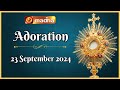 🔴 LIVE 23 September 2024 Adoration 11:00 AM | Madha TV