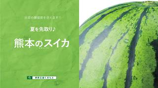 【テレビＣＭ】熊本県産スイカ【にこやか食堂】