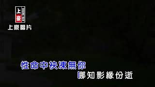 謝金晶-一生最愛你【KTV導唱字幕】1080p