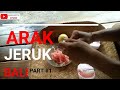 CARA MEMBUAT WINE DARI FERMENTASI JERUK BALI (PART 1 OF 2)/ HOMEMADE POMELO WINE