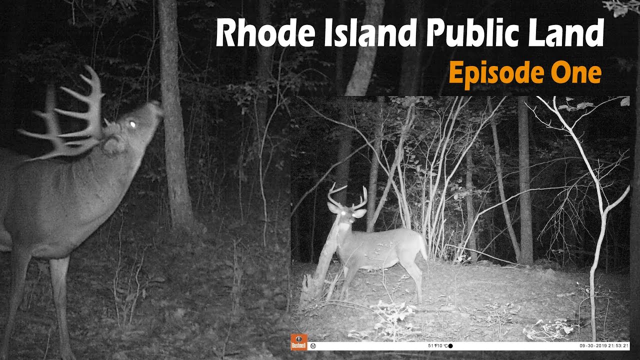 HUNTING BIG BUCKS ON RHODE ISLAND PUBLIC LAND: Episode One - YouTube