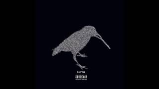 Birds In The Trap Film - The Ends  Instrumental