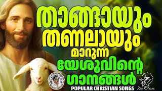 താങ്ങായും തണലായും മാറുന്ന യേശുവിന്റെ ഗാനങ്ങൾ  | @JinoKunnumpurathu