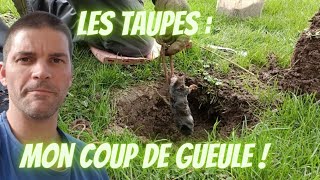 Adieu Taupes : mon coup de gueule ! Comment les Éliminer de Votre Jardin  : les résultats