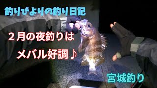 2月宮城の夜釣り絶好調♪