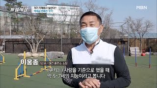 전문가도 감탄한 '쿠키'의 엄청난 능력은? MBN 210415 방송