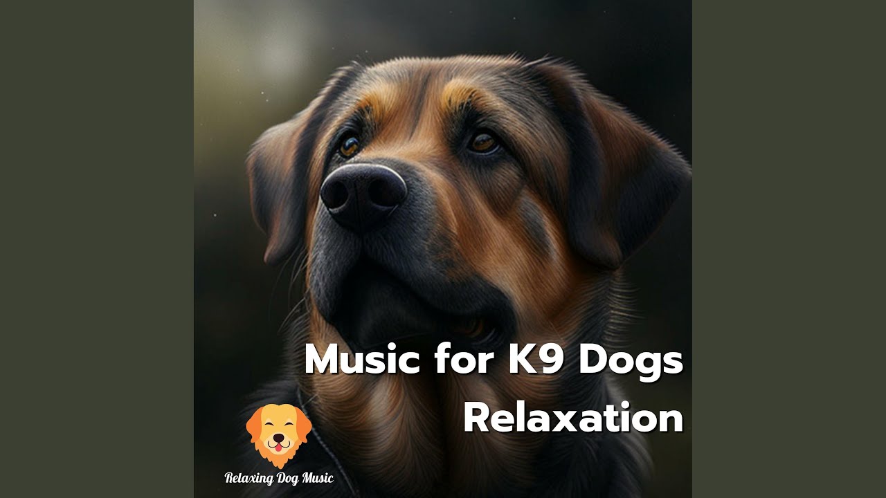 Pets Relaxation Youtube Music