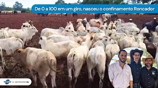 De 0 a 100 em um giro, nasceu o confinamento Roncador | Noticiário Tortuga