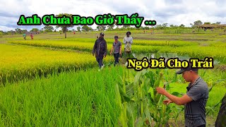 Quang Dũng || Tiếng Lành Đồn Xa Ngày Có Thêm Người Muốn Đến Thăm Và Học Cách Qui Hoạch , Trồng Cấy .