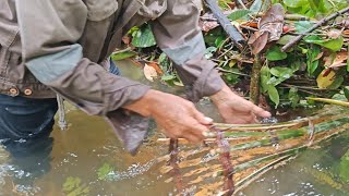 PERGI CEK JARING IKAN DAN ENSENGA @ ENTAYA // DAPAT IKAN LELE DAN TOMAN //