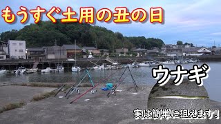 狙うなら今！ハイシーズンに狙う高級魚　簡単・手軽にウナギ釣り！　夜釣りに便利なアイテムや節約術もご紹介☆