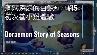 #15 洞穴深處的白鯨+初次養小雞體驗 Doraemon Story of Seasons 哆啦A夢 牧場物語