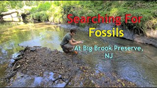 Fossil Hunting in NJ at the Big Brook Preserve