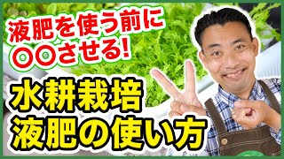 【水耕栽培】水耕栽培で液肥を使用する時の注意点！〜ベビーリーフを例に効率的な使い方とお勧めの資材をご紹介〜【園芸塾】【ハイポネックス】【微粉】