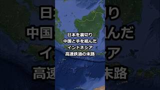 日本を裏切り 中国と手を組んだ インドネシア 高速鉄道の末路 #shorts