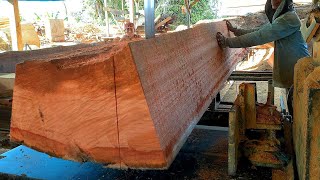 SAWMILL.proses pengolahan kayu Meranti merah  besar