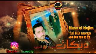 Muse el nejim sevgo tiktok akım Music New davul zurna /موسى النجم حمودة ابو الجود تكتوك تدملك اغنية)