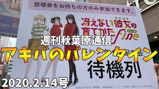 【週刊秋葉原通信】アキバのバレンタイン/防振りジャック/なか卯×Fate店舗/ラボライブ！/マリーシェル占い館＆ガチャギフト開店/ひむろ閉店間近【2020年2月14日号】