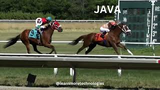 Java vs C Memes: The Ultimate Programming Showdown ๐๐ป | Who Wins?